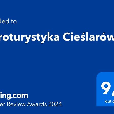 Agroturystyka Cieslarowka Lubawka Extérieur photo