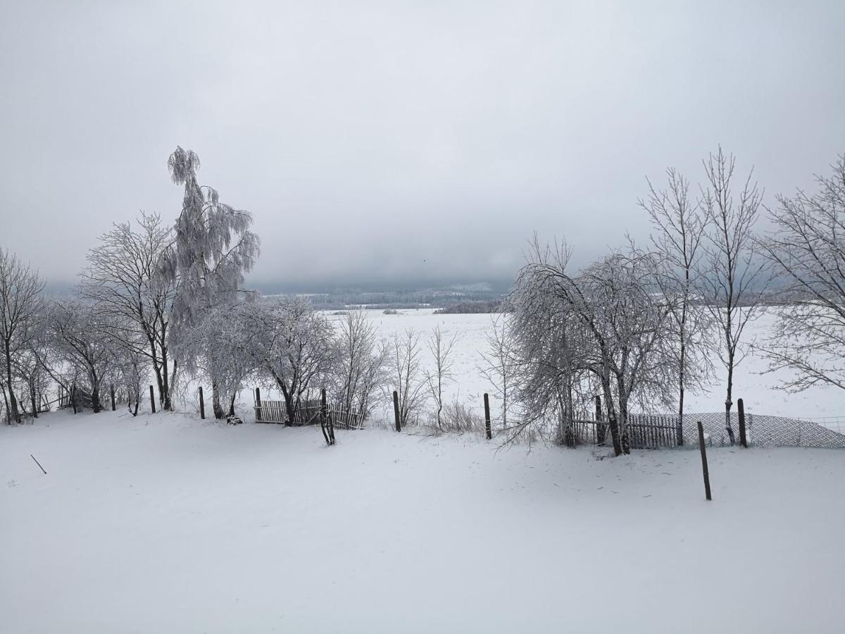 Agroturystyka Cieslarowka Lubawka Extérieur photo